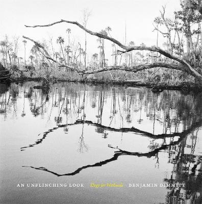 An Unflinching Look: Elegy for Wetlands - Benjamin Dimmitt,Susan Cerulean,Alexa Dilworth - cover