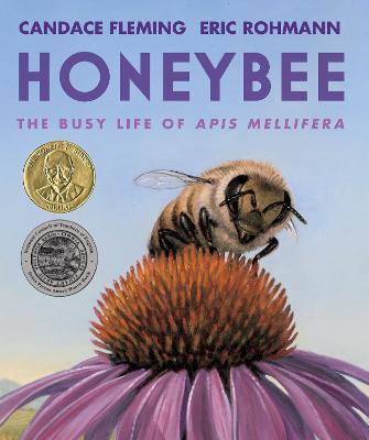 Honeybee: The Busy Life of Apis Mellifera - Candace Fleming - cover