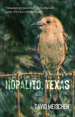 Nopalito, Texas: Stories - David Meischen - cover