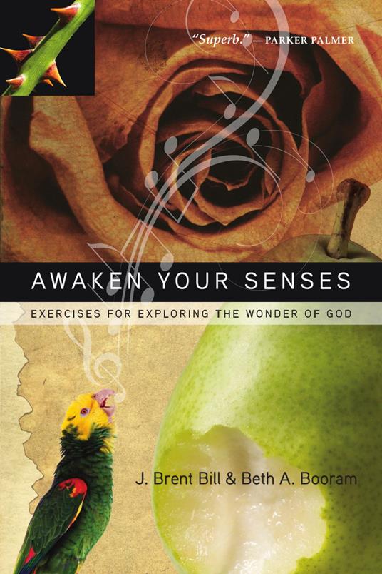 Awaken Your Senses