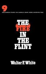 The Fire in the Flint