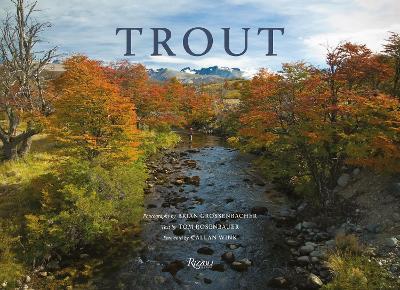 Trout - Tom Rosenbauer,Brian Grossenbacher - cover