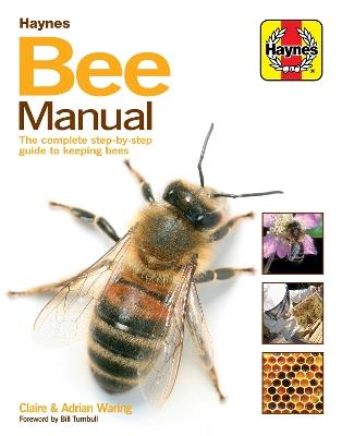 Bee Manual: The complete step-by-step guide to keeping bees - Claire Waring - cover