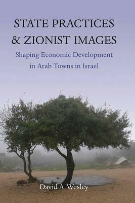 State Practices and Zionist Images: Shaping Economic Development in Arab Towns in Israel - David A. Wesley - cover