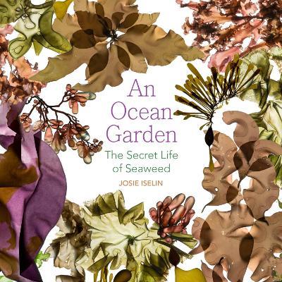 An Ocean Garden: The Secret Life of Seaweed - Josie Iselin - cover