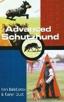 Advanced Schutzhund