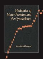 Mechanics of Motor Proteins and the Cytoskeleton