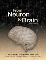 From Neuron to Brain