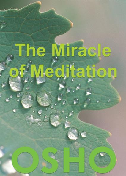 The Miracle of Meditation