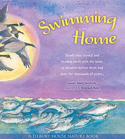 Swimming Home (Tilbury House Nature Book) - Susan Hand Shetterly,Rebekah Raye - ebook