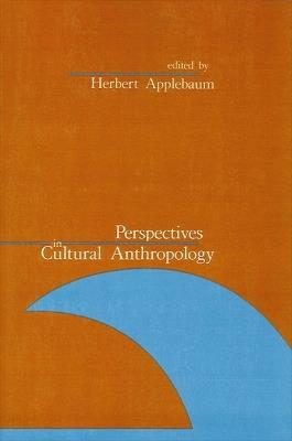 Perspectives in Cultural Anthropology - cover