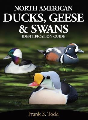 North American Ducks, Geese and Swans: identification guide - Frank Todd - cover