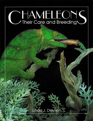 Chameleons: Their Care and Breeding - Linda Davison - cover