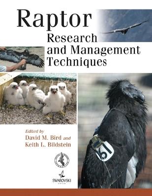 Raptor Research and Management Techniques - Keith L. Bildstein - cover