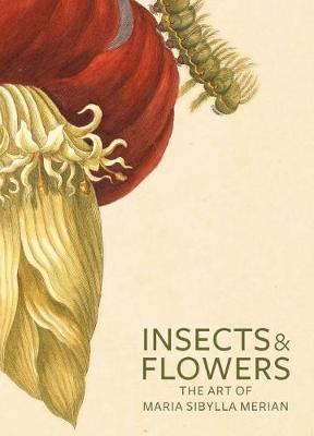 Insects and Flowers – The Art of Maria Sibylla Merian - . Brafman - cover