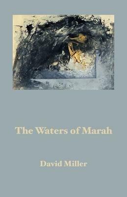 The Waters of Marah: Selected Prose 1973-1995 - David Miller - cover