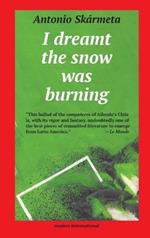 I Dreamt the Snow Was Burning: A Novel of Chile