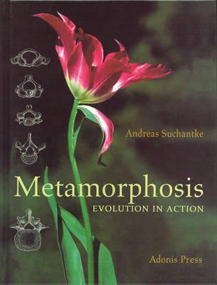 Metamorphosis: Evolution in Action - Andreas Suchantke - cover