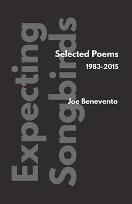 Expecting Songbirds - Joe Benevento - cover