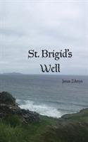 St. Brigid's Well - Jonas Zdanys - cover