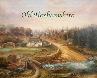 Old Hexhamshire: A Glimpse into the History of the 'Shire Over the Centuries - Hilary Kristensen - cover