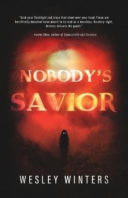 Nobody's Savior - Wesley Winters - cover