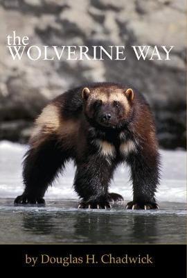 The Wolverine Way - Douglas H. Chadwick - cover