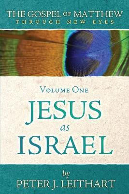 The Gospel of Matthew Through New Eyes Volume One: Jesus as Israel - Peter J Leithart - cover
