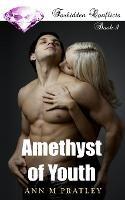 Amethyst of Youth: Book 1 of the Forbidden Conflicts Series