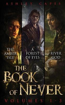 The Book of Never: Volumes 1-3 - Ashley Capes - cover