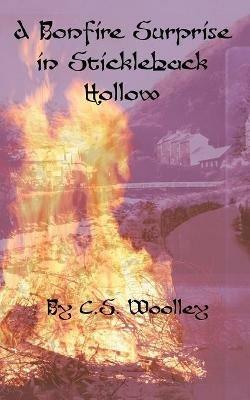 A Bonfire Surprise in Stickleback Hollow: A British Victorian Cozy Mystery - C S Woolley - cover