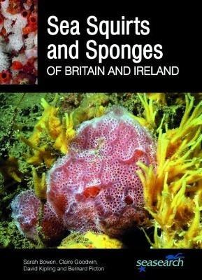 Sea Squirts and Sponges of Britain and Ireland - Sarah Bowen,Claire Goodwin,David Kipling - cover