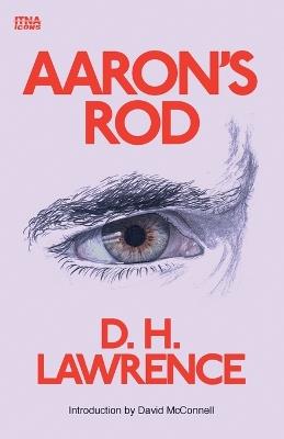 Aaron's Rod - D H Lawrence - cover