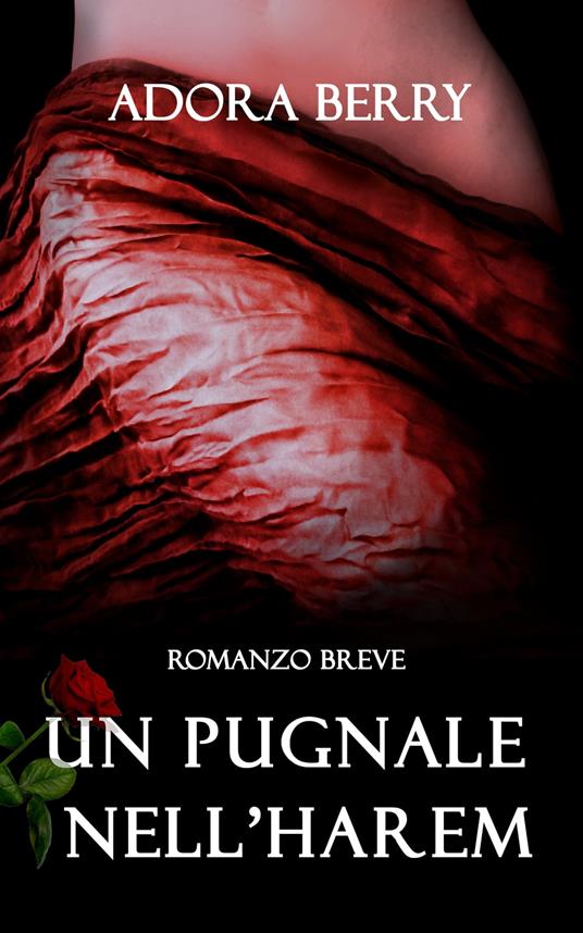 Un pugnale nell'harem - Adora Berry - ebook