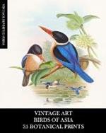 Vintage Art: Birds of Asia: 35 Botanical Prints: Ephemera for Framing, Collage, Decoupage, and Junk Journals