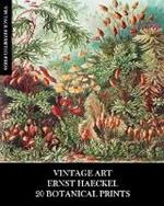 Vintage Art: Ernst Haeckel: 20 Botanical Prints: Flora and Fauna Ephemera for Framing, Collage and Decoupage