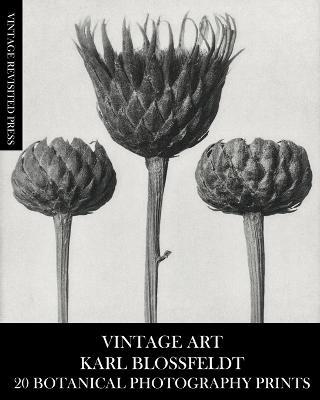 Vintage Art: Karl Blossfeldt 20 Botanical Photography Prints - Vintage Revisited Press - cover