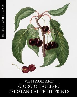 Vintage Art: Giorgio Gallesio 20 Botanical Fruit Prints - Vintage Revisited Press - cover