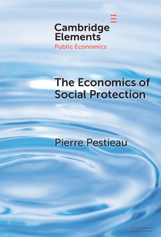 The Economics of Social Protection