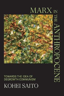 Marx in the Anthropocene: Towards the Idea of Degrowth Communism - Kohei Saito - cover