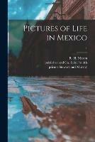 Pictures of Life in Mexico; 1