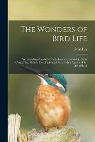 The Wonders of Bird Life: an Interesting Account of the Education, Courtship, Sport & Play, Makebelieve, Fighting & Other Aspects of the Life of Birds