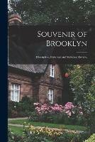 Souvenir of Brooklyn: Descriptive, Historical and Statistical Review.