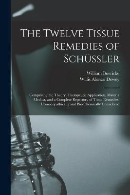 The Twelve Tissue Remedies of Schussler: Comprising the Theory, Therapeutic Application, Materia Medica, and a Complete Repertory of These Remedies. Homoeopathically and Bio-Chemically Considered - Willis Alonzo Dewey,William Boericke - cover