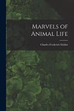 Marvels of Animal Life