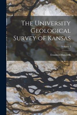 The University Geological Survey of Kansas; Volume I - Erasmus Haworth - cover