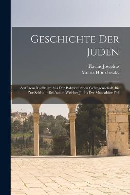 Geschichte der Juden: Seit dem Ruckzuge aus der babylonischen Gefangenschaft, bis zur Schlacht bei Aza in welcher Judas der Maccabaer fiel - Flavius Josephus,Moritz Horschetzky - cover