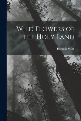 Wild Flowers of the Holy Land - Hannah Zeller - cover