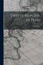 Twelve Months in Peru