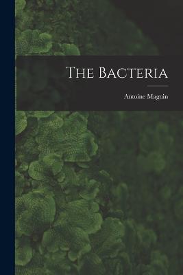 The Bacteria - Antoine Magnin - cover